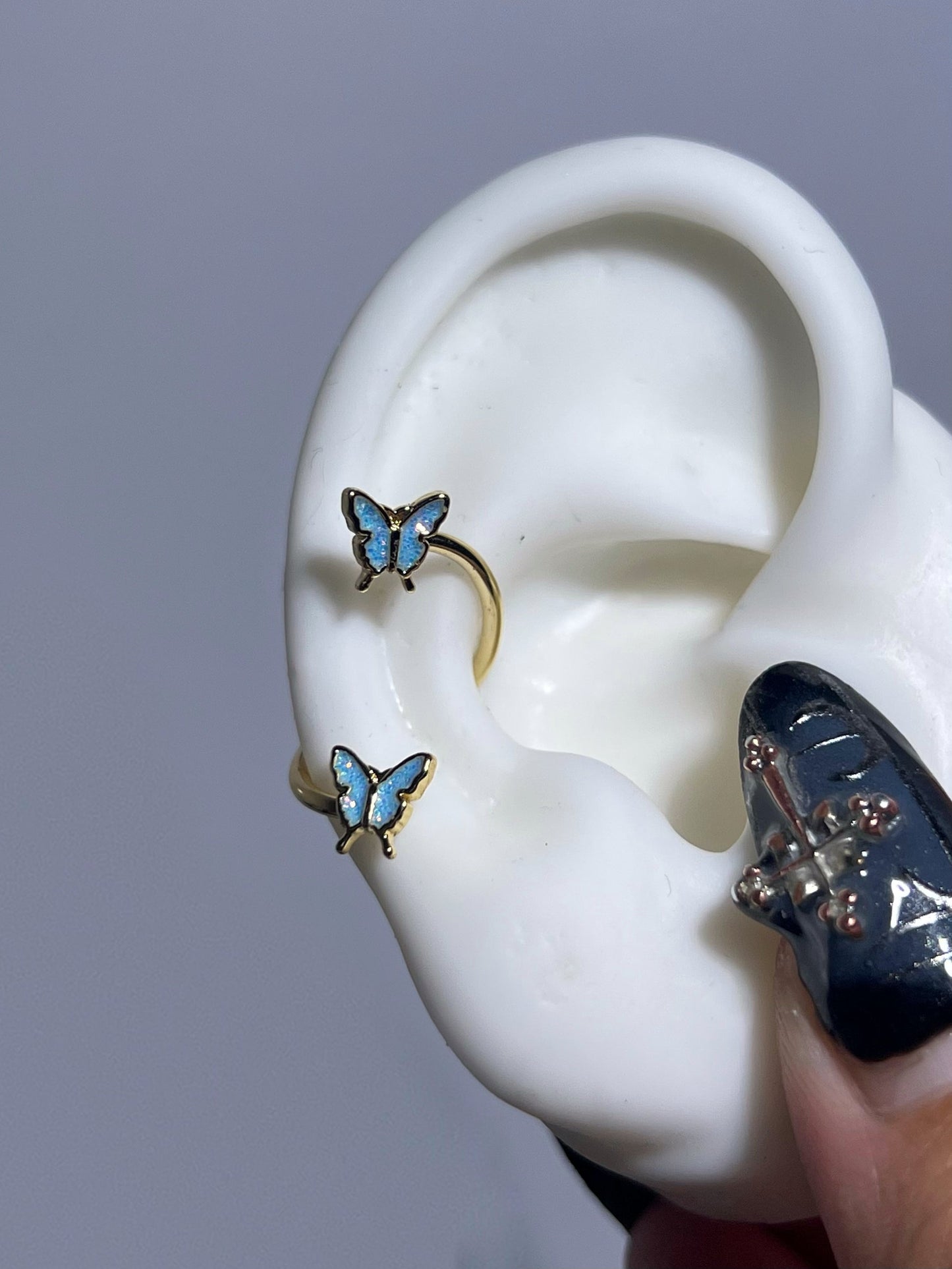 Gold Lapis Butterfly Conch Earrings