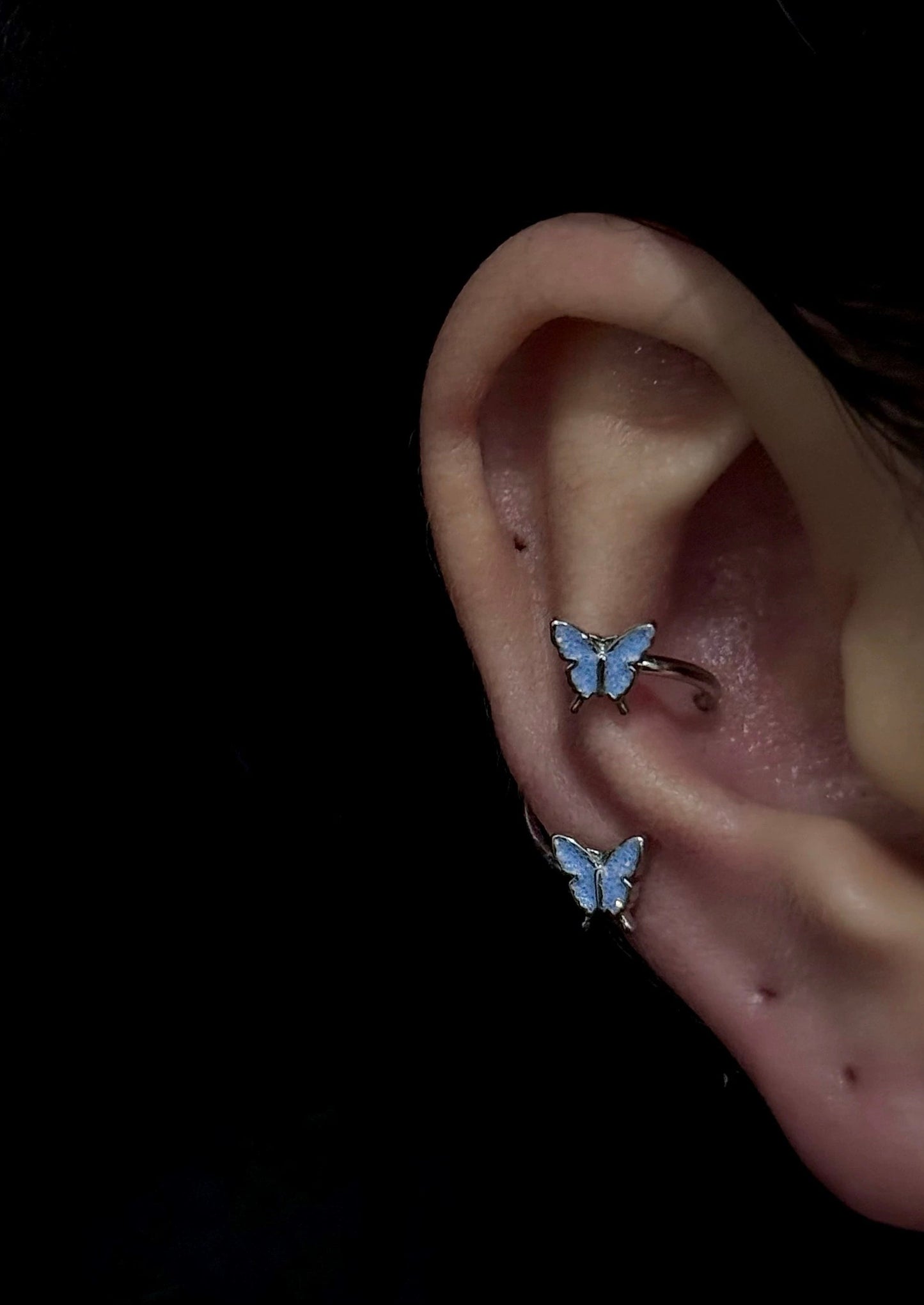 Lapis Butterfly Conch Earrings