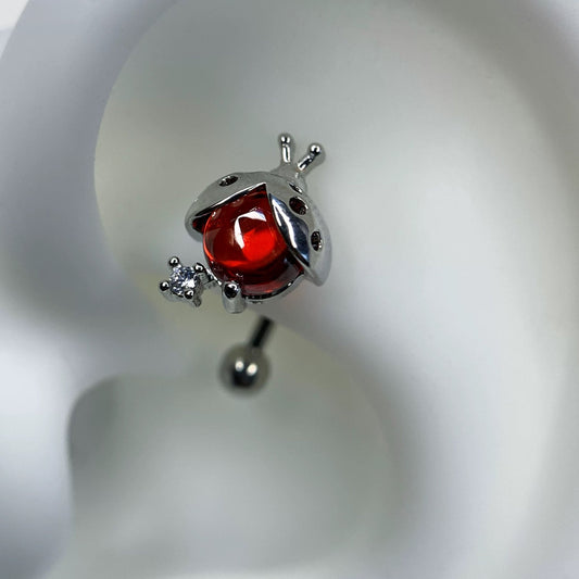 Ladybird Charm Rook / Daith Earrings