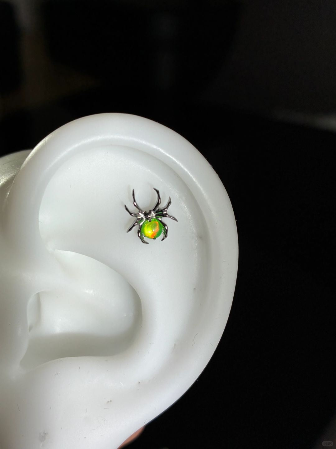 Toxic Spider Conch Earrings