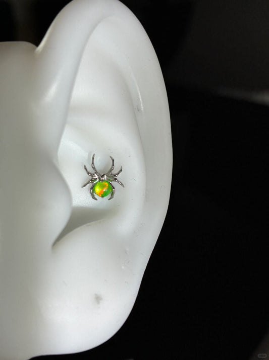 Toxic Spider Conch Earrings