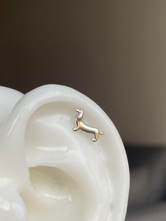Dachshund Puppy Helix Earrings
