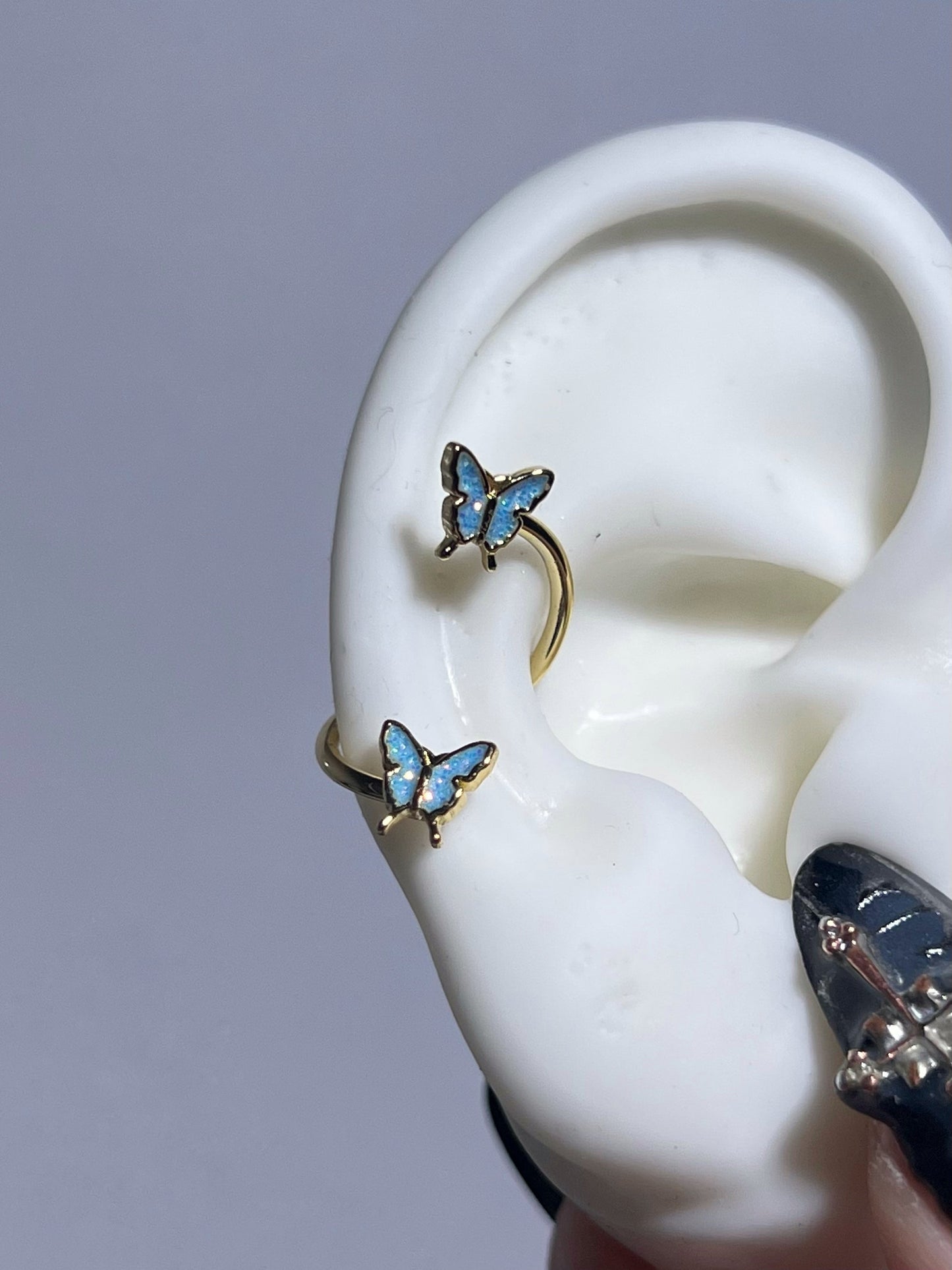 Gold Lapis Butterfly Conch Earrings