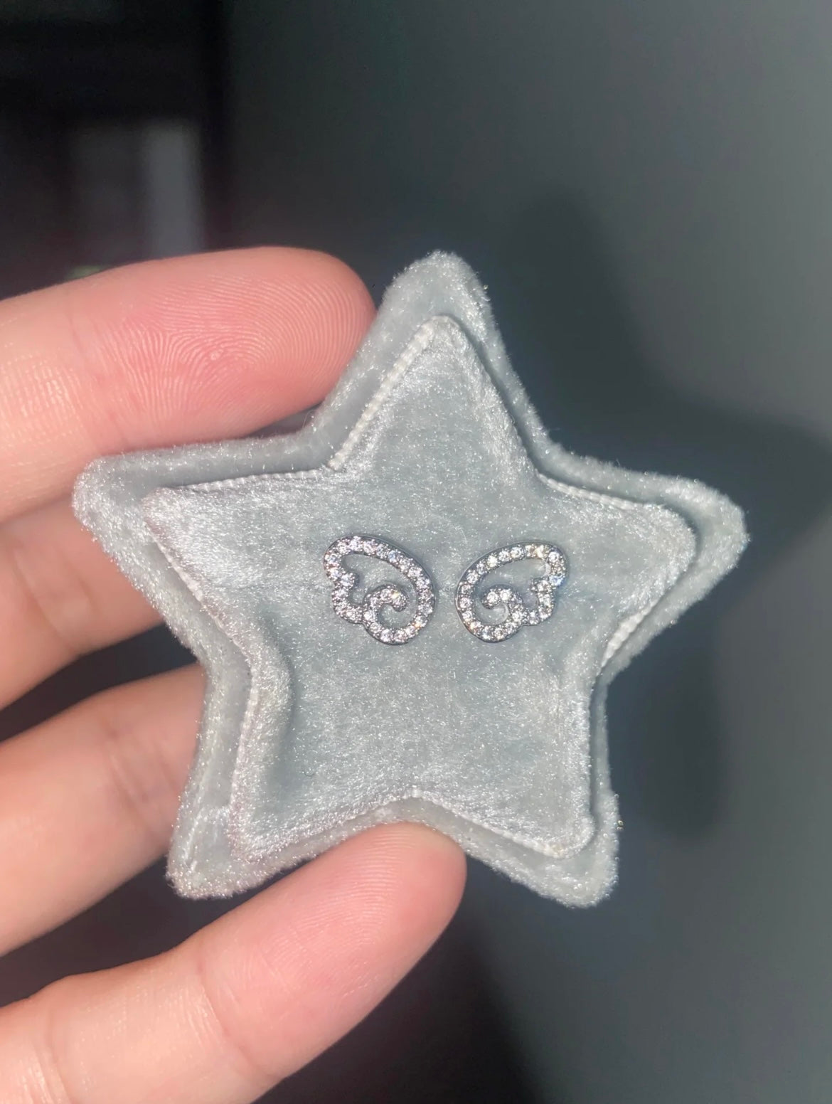 Shallow Wings Earrings