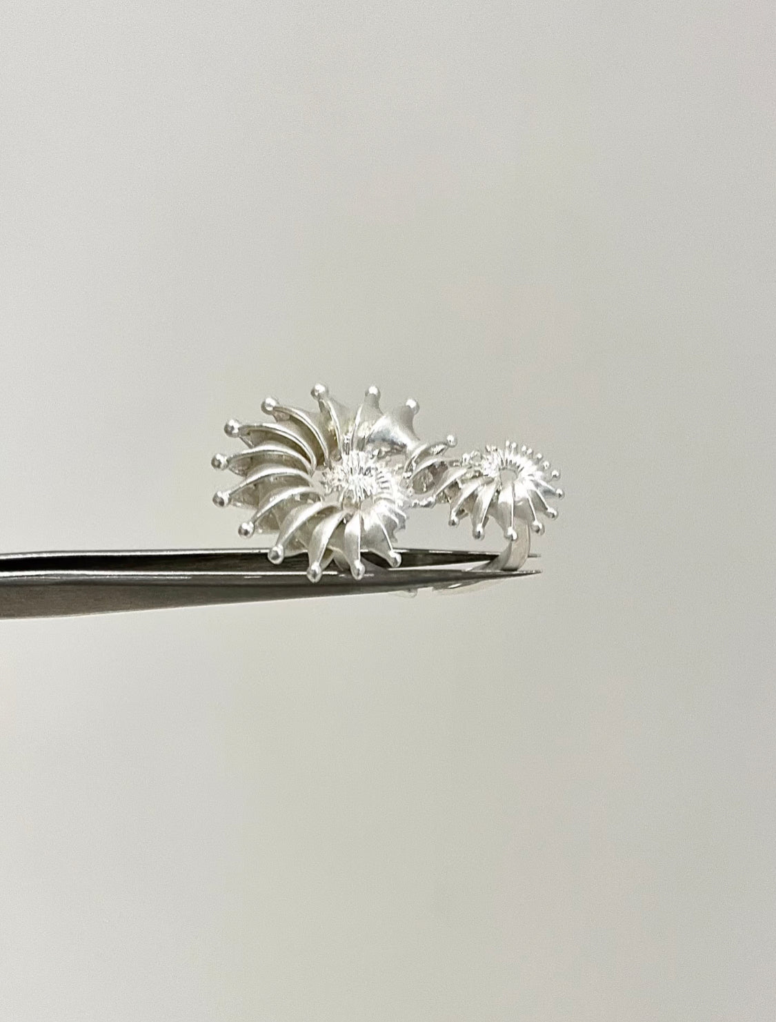 Nautilus Spiral Ring