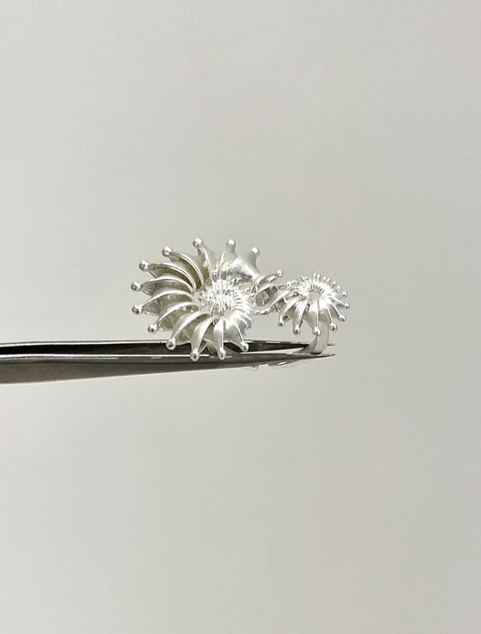 Nautilus Spiral Ring