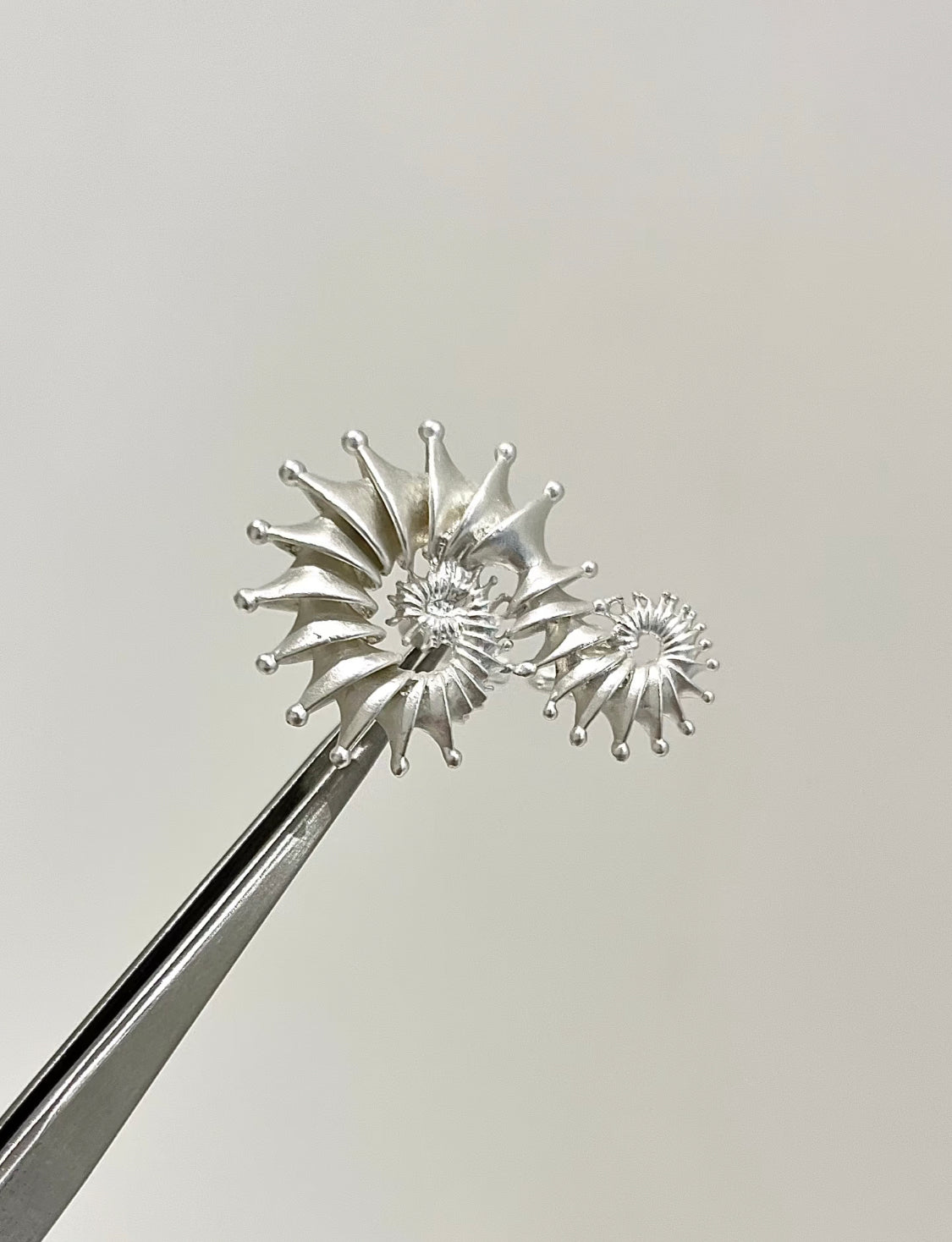 Nautilus Spiral Ring